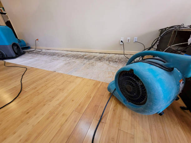Professional Flood Damage Cleanup technician working in Warrington, FL